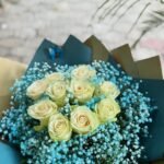 চাইনিজ গোলাপ এবং চাইনিজ জিপসি